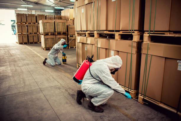 Best Mosquito Control Services  in Bourbonnais, IL