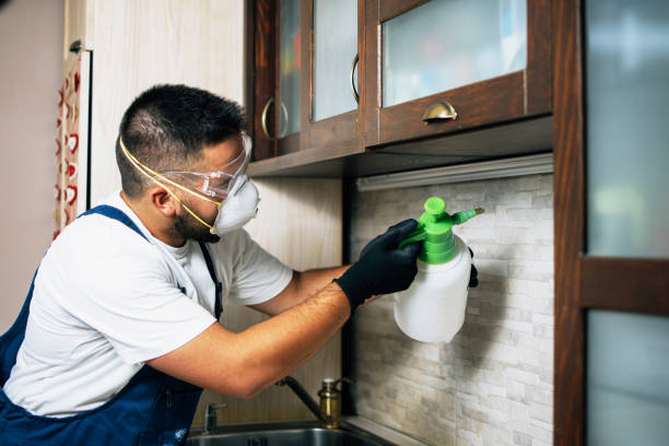 Best Exterminator Services  in Bourbonnais, IL