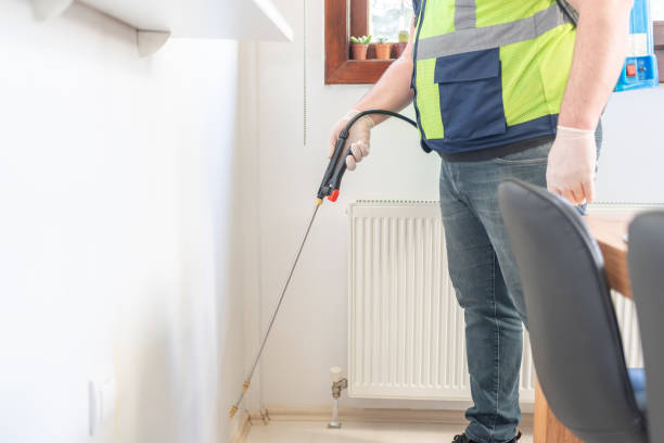 Best Cockroach Control Services  in Bourbonnais, IL