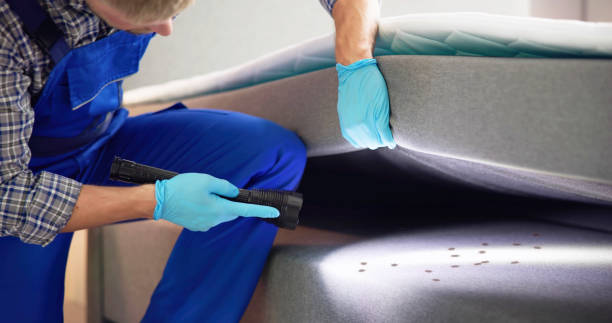 Best Flea Control Services  in Bourbonnais, IL