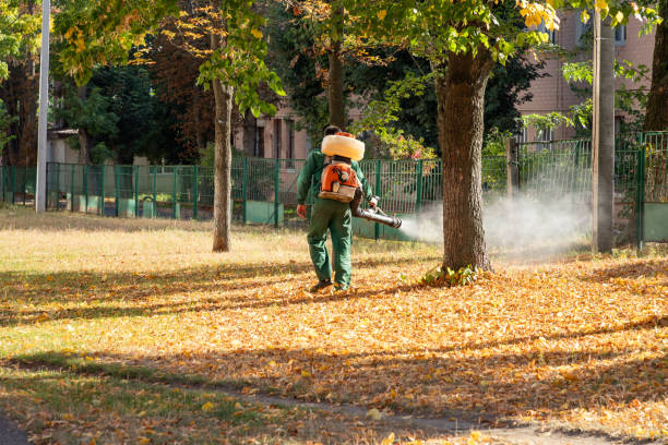 Best Commercial Pest Control Services  in Bourbonnais, IL