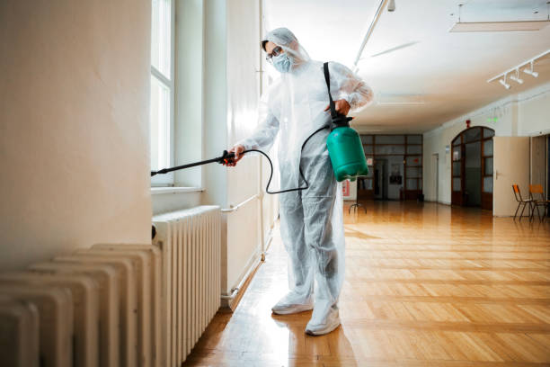 Best Best Pest Control Companies  in Bourbonnais, IL