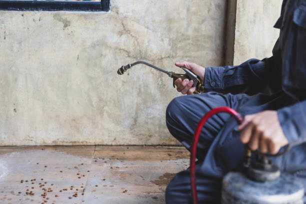 Best Pest Removal Services  in Bourbonnais, IL